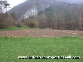 Property Description
