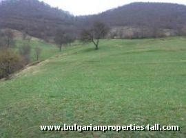 Property Description