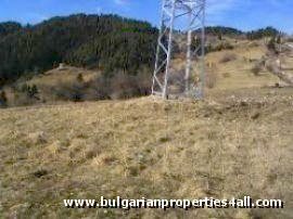 Property Description