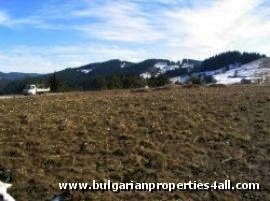 Property Description
