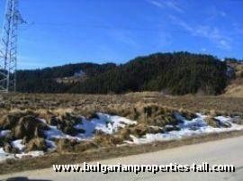 Property Description