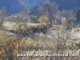 Property Description