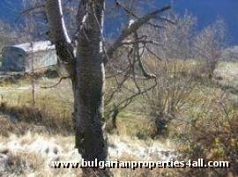 Property Description