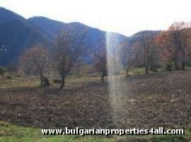 Property Description