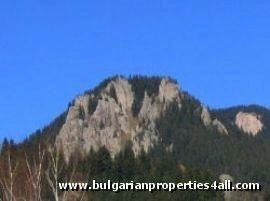 Property Description