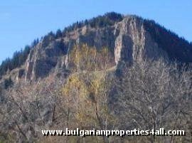 Property Description