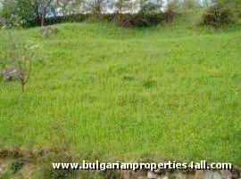 Property Description
