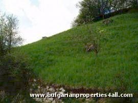 Property Description