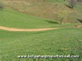 Property Description