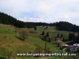 Property Description
