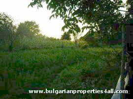 Property Description