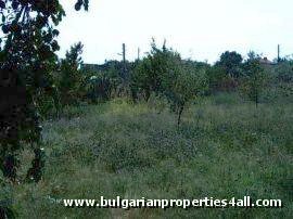 Property Description