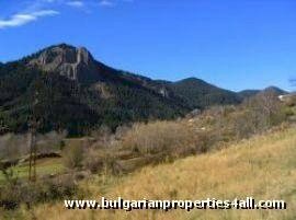 Property Description