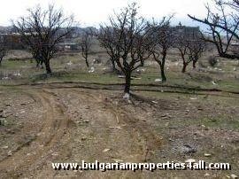 Property Description