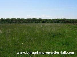 Property Description