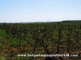 Property Description