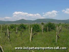 Property Description