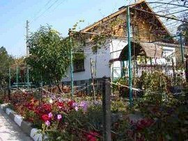 Property in bulgaria, House in bulgaria , House for sale near Pleven, buy rural property, rural house, rural Bulgarian house, bulgarian property, rural property, buy property near Pleven, Pleven property 