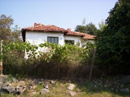 Property in bulgaria, House in bulgaria , House for sale near Yambol, buy rural property, rural house, rural Bulgarian house, bulgarian property, rural property, buy property near Elhovo, Yambol property 