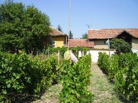 house, bulgaria, property, for sale, buy, invest, house for sale, house for sale in bulgaria, house for sale near pleven, bulgarian hous, house in bulgaria, property in bulgaria, invest in bulgarian house