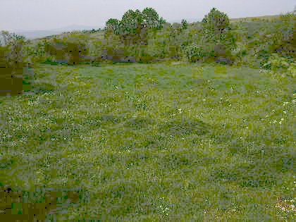 Regulated plot of land near Yambol region