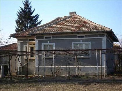 House near forest and golf