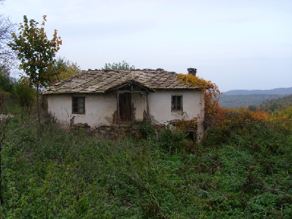 Two properties with huge yard for sale near to Ivailovgrad