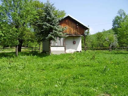 Property in bulgaria, House in bulgaria , House for sale near Pleven, buy rural property, rural house, rural Bulgarian house, bulgarian property, rural property, buy property near Pleven, Pleven property 