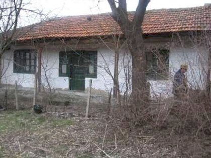 Rural house stands 50km away from the town of Dobrich,House for sale near Varna, house near resort, Varna holiday resort, holiday resort, property near resort, buy property in resort, bulgarian property, property near Varna, property Varna, holiday house near sea
Rural Bulgarian house, rural house, rural property, house near Black sea, Varna property, house near beach, house near sea, buy property near sea, bulgarian property, property near Varna, buy property near Varna, property near dobrich, house in dobrich, real estate near beach resort,property in Bulgaria, property, Bulgaria, properties, bulgarian properties, Bulgarian, bulgarian property, property Bulgaria, bulgarian properties for sale, buy properties in Bulgaria, Cheap Bulgarian property, Buy property in Bulgaria, house for sale,Bulgarian estates,Bulgarian estate,cheap Bulgarian estate,sheap Bulgarian estates,house for sale in Bulgaria,home in Bulgaria,Bulgarian home, bye home in Bulgaria, Cheap home, Cheap home in Bulgaria
