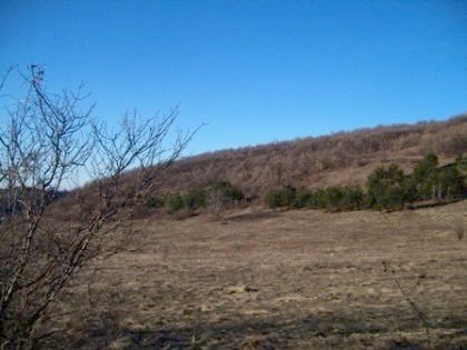 land, plot of land, property, real estate, bulgaria, lovech, buy, invest, bulgarian land, land in bulgaria, bulgarian plot of land, plot of land in bulgaria, buy bulgarian land, buy bulgarian plot of land, invest in bulgarian plot of land
