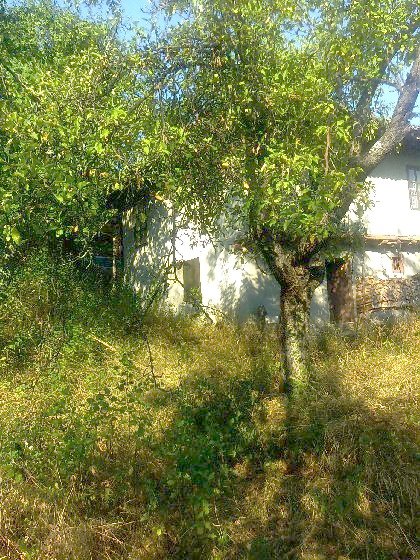 House for sale near Veliko Tranovo, house near resort, Veliko Tranovo beach resort, beach resort, property near resort, buy property in resort, bulgarian property, property near Veliko Tranovo property Veliko Tranovo, house near bulgarian resort, Veliko Tranovo resort House for sale near Varna, house near resort, Veliko Tranovo holiday resort, holiday resort, property near resort, buy property in resort, bulgarian property, property near Veliko Tranovo property Veliko Tranovo, holiday house near sea Land in Bulgaria, Bulgarian land, land near beach, Bulgarian property, property land, property in Bulgaria, property near beach, Land in Veliko Tranovo, land near Veliko Tranovo, Veliko Tranovo property, property investment, investment house in Bulgaria, Bulgarian house, house near beach, Bulgarian property, property house, property in Bulgaria, property near beach, house in Veliko Tranovo, house house near Veliko Tranovo, balchik property, property investment, investment, apartment, apartmen in Bulgaria, buy apartment in Bulgaria, Bulgarian apartments, apartment in Bulgaria for sale