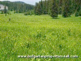 Land in Bulgaria, Bulgarian land, land near ski resort, Bulgarian property, property land near resort, land investment in Bulgaria, Land in Smolyan, land near Pamporovo ski resort, Pamporovo property, property investment