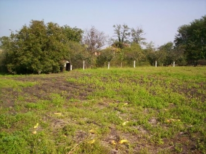 Property Description