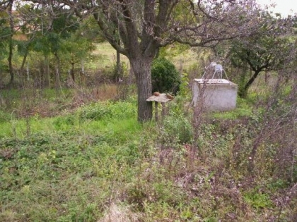 Property Description
