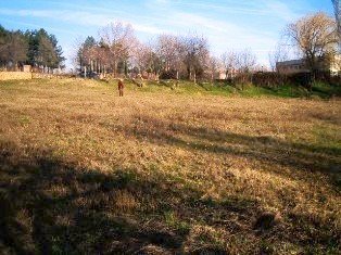 Property Description