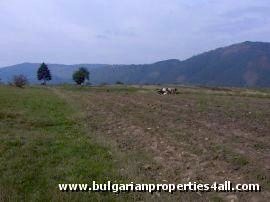 Property Description