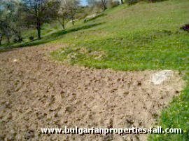 Property Description